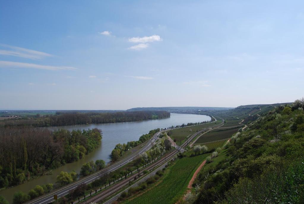Landhotel St. Gereon Nackenheim Buitenkant foto